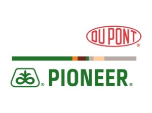 Beranda 36 Pioneer
