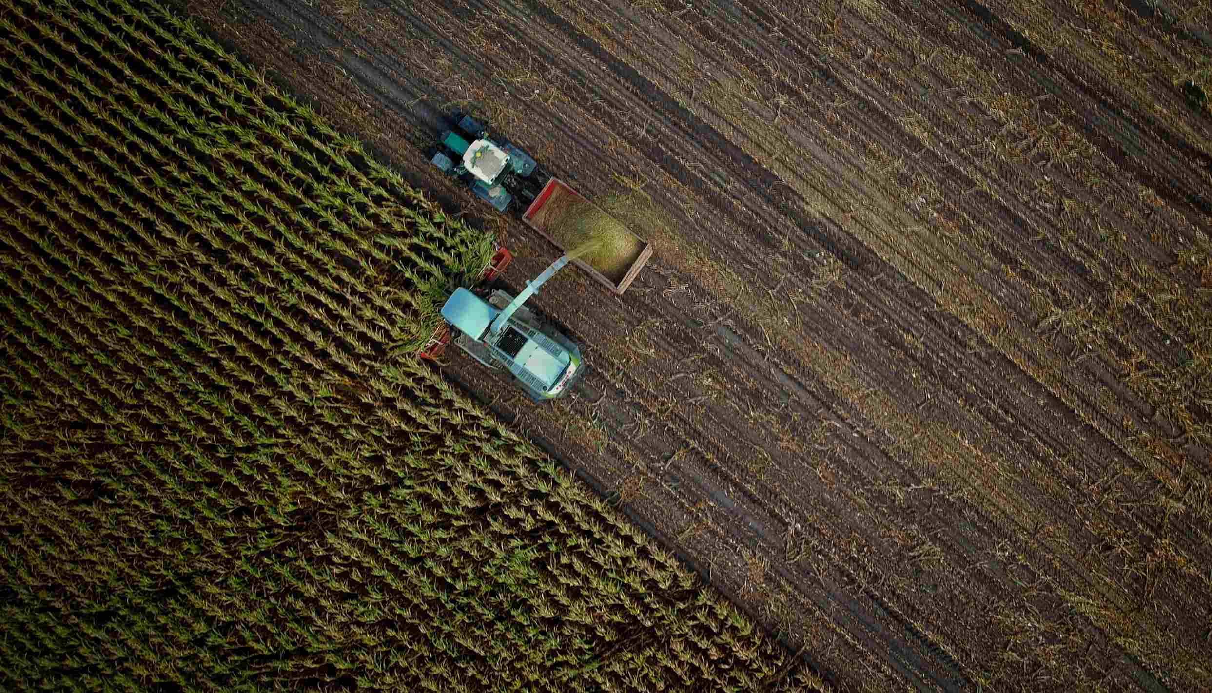 Agrikultur
