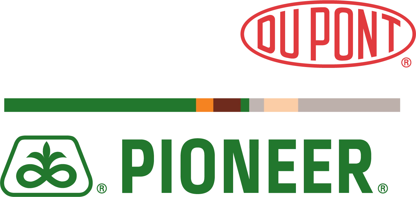 Jasa Pembuatan Website Pekanbaru Logo pioneer dupont