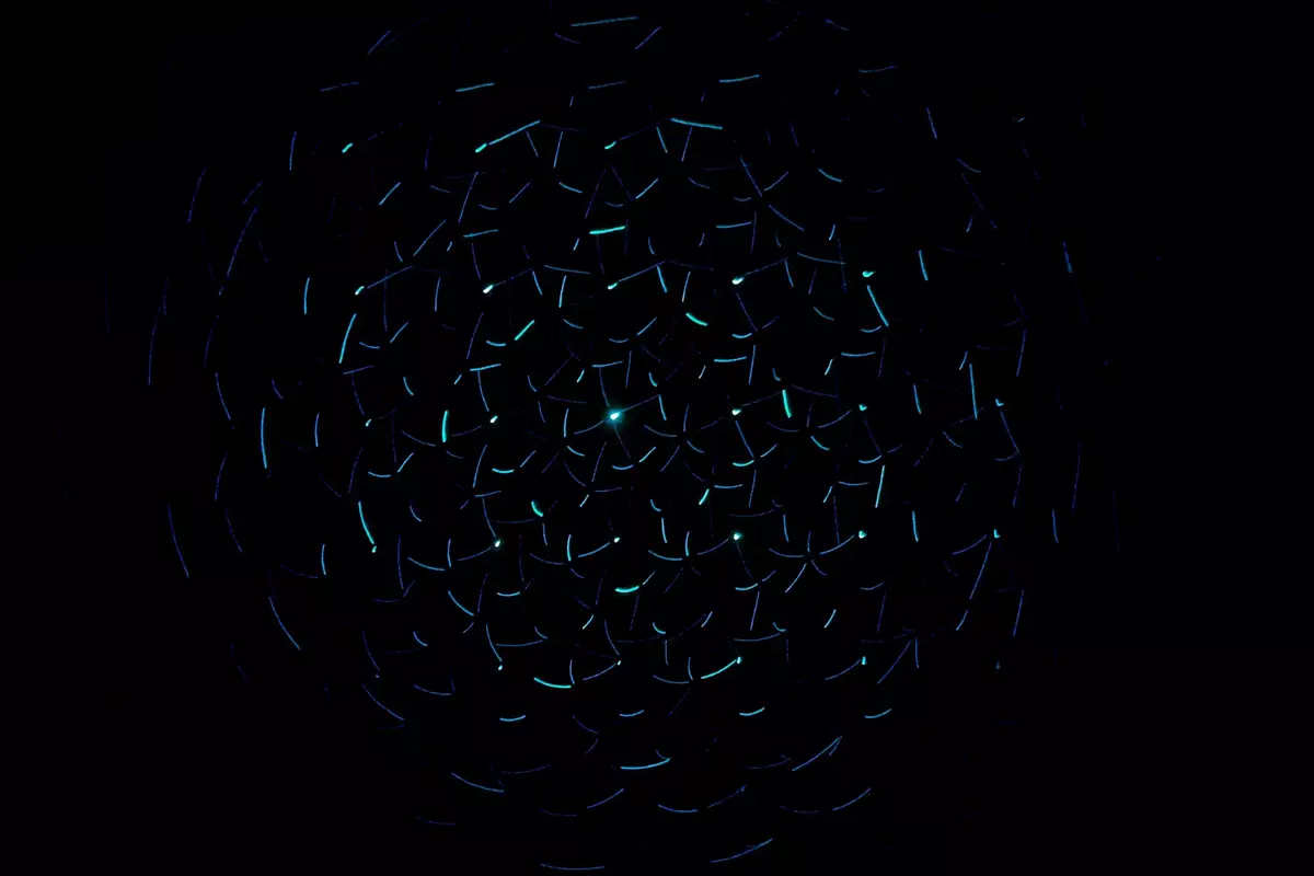 Software House di Malang, Sekawan Media