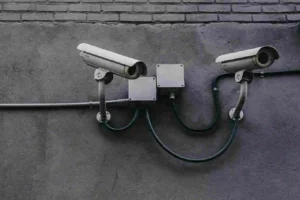 surveillance audit