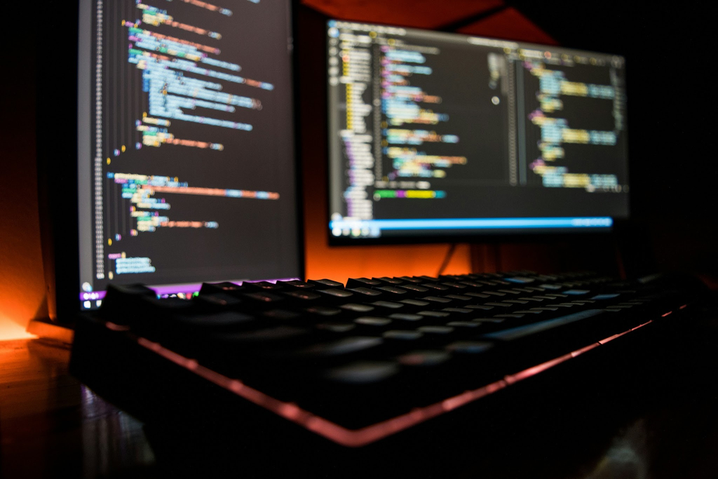custom software vs software langganan