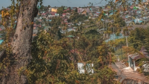Permukiman padat di tepi laut dilihat dari bukit berpohon
