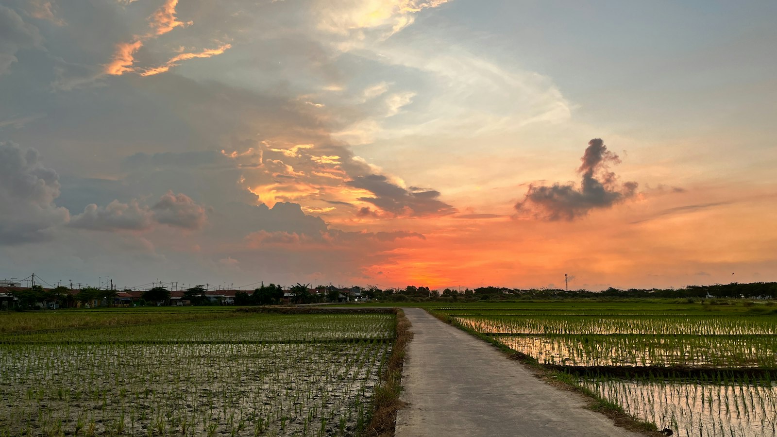 Rekomendasi Jasa Pembuatan Website di Karawang: 5 Pilihan dan Cara Memilihnya Sawah di Karawang saat matahari terbenam